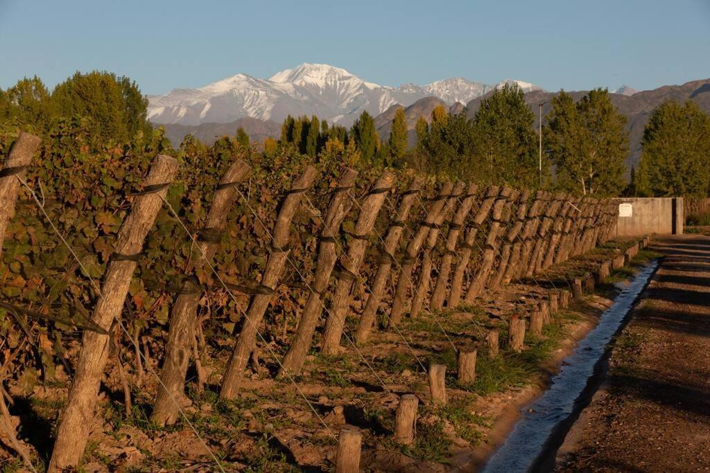 Villa Bodega Durigutti Family Winemakers Las Compuertas Exterior foto