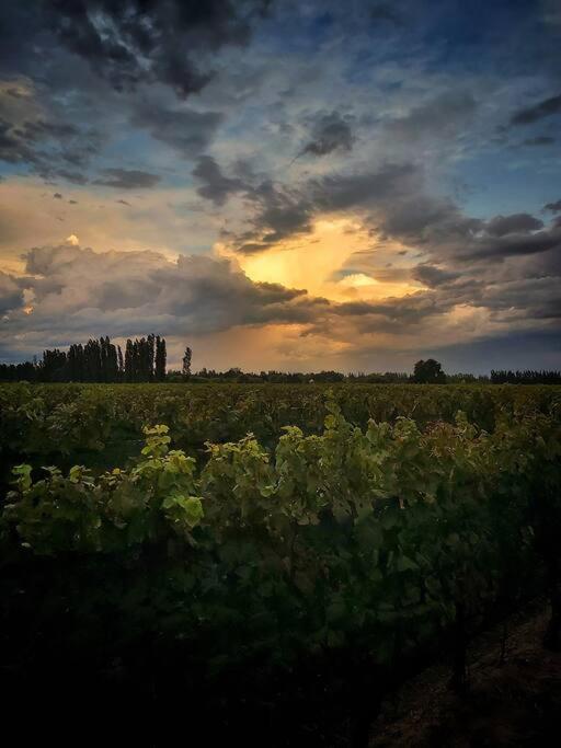 Villa Bodega Durigutti Family Winemakers Las Compuertas Exterior foto
